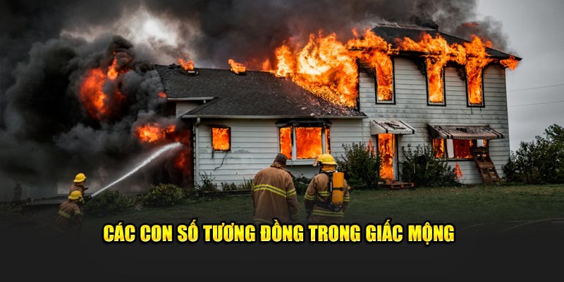 Các con số tương đồng trong giấc mộng 